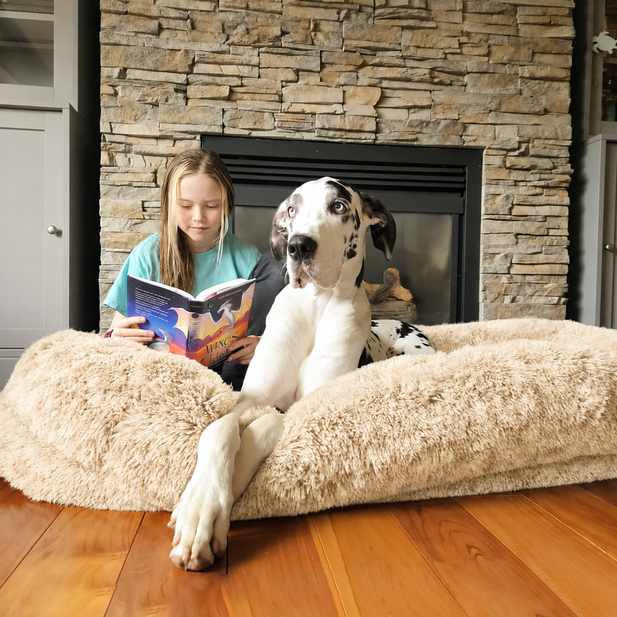 Luxury Super Large Sleep Deeper Oval Bed Human Dog Bed