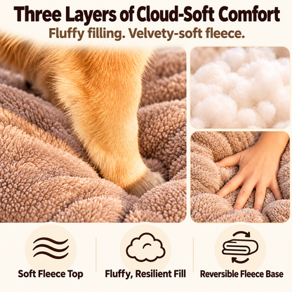 Cozy Haven 2-in-1 Pet House & Sofa Bed